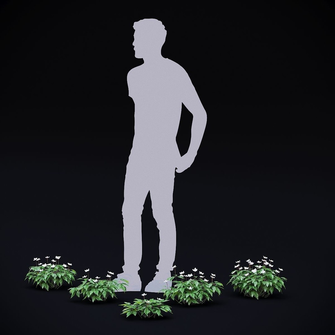 Anemona Nemorosa 3D Model – High Poly Flower Asset, FBX, OBJ - View 6