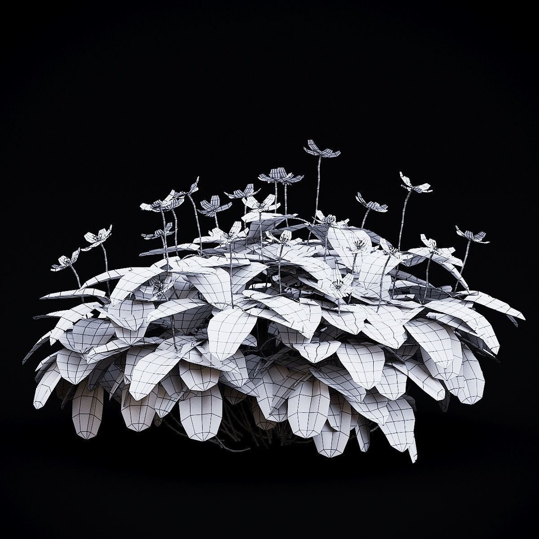 Anemona Nemorosa 3D Model – High Poly Flower Asset, FBX, OBJ - View 8