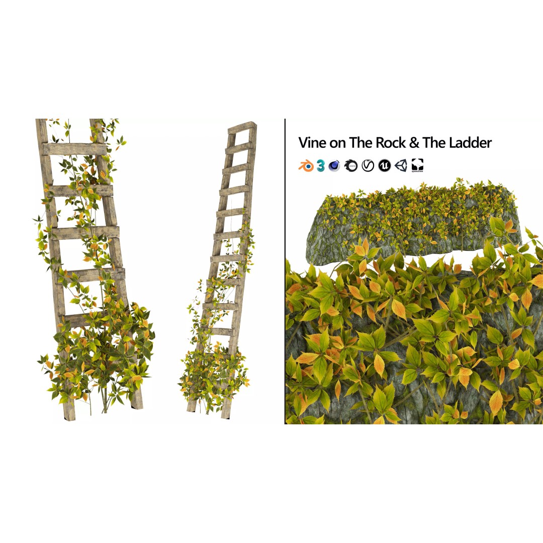 Vine Climber Plant on Ladder 3D Model – Low Poly, Rigged, Game Ready - View 2