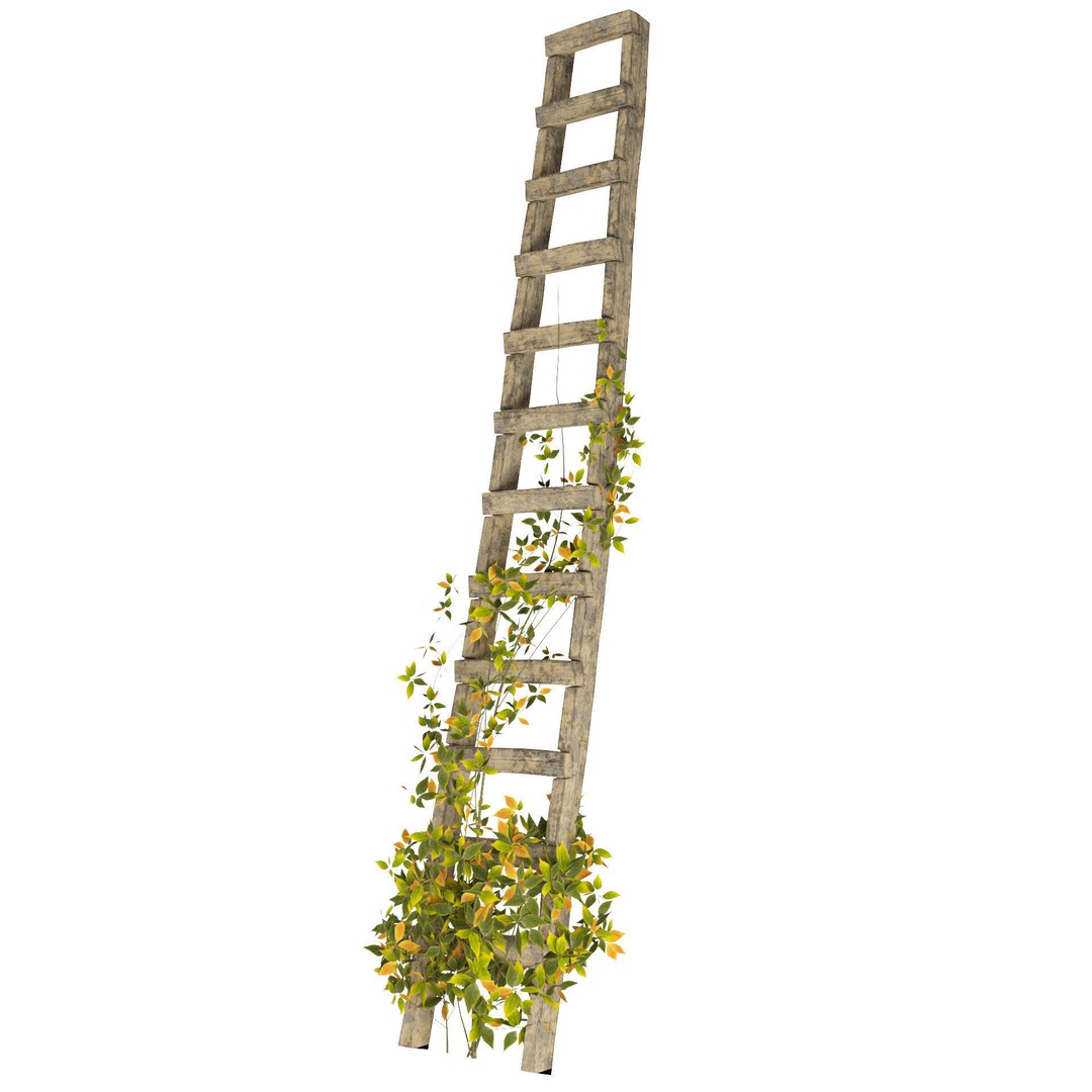 Vine Climber Plant on Ladder 3D Model – Low Poly, Rigged, Game Ready - View 5