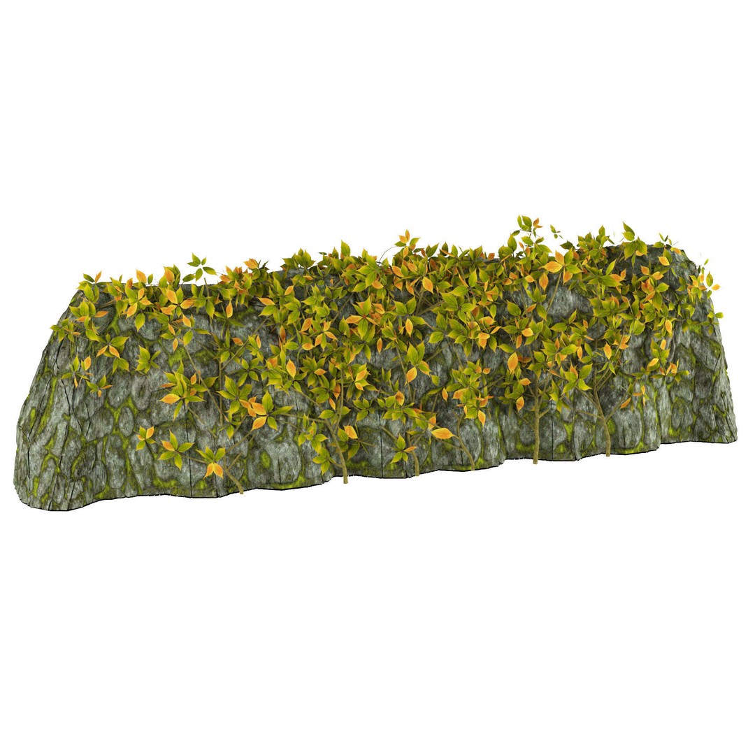 Vine Climber Plant on Ladder 3D Model – Low Poly, Rigged, Game Ready - View 6