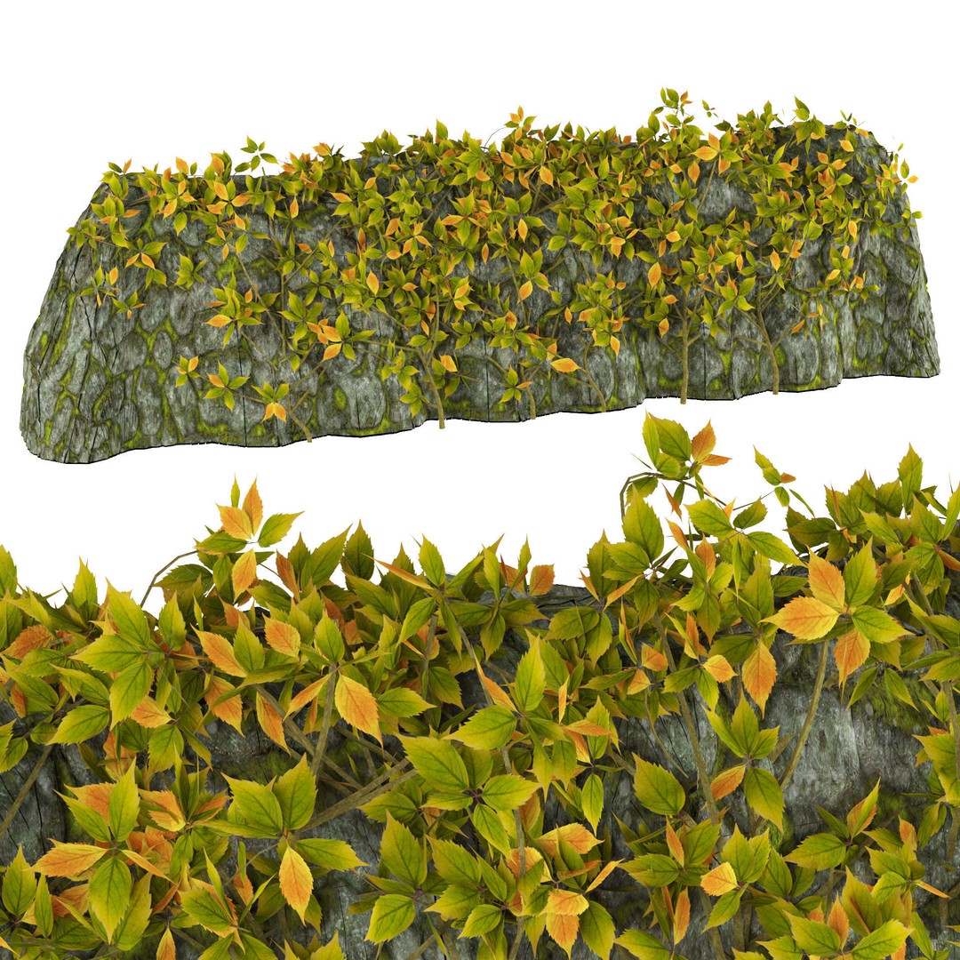 Vine Climber Plant on Ladder 3D Model – Low Poly, Rigged, Game Ready - View 7