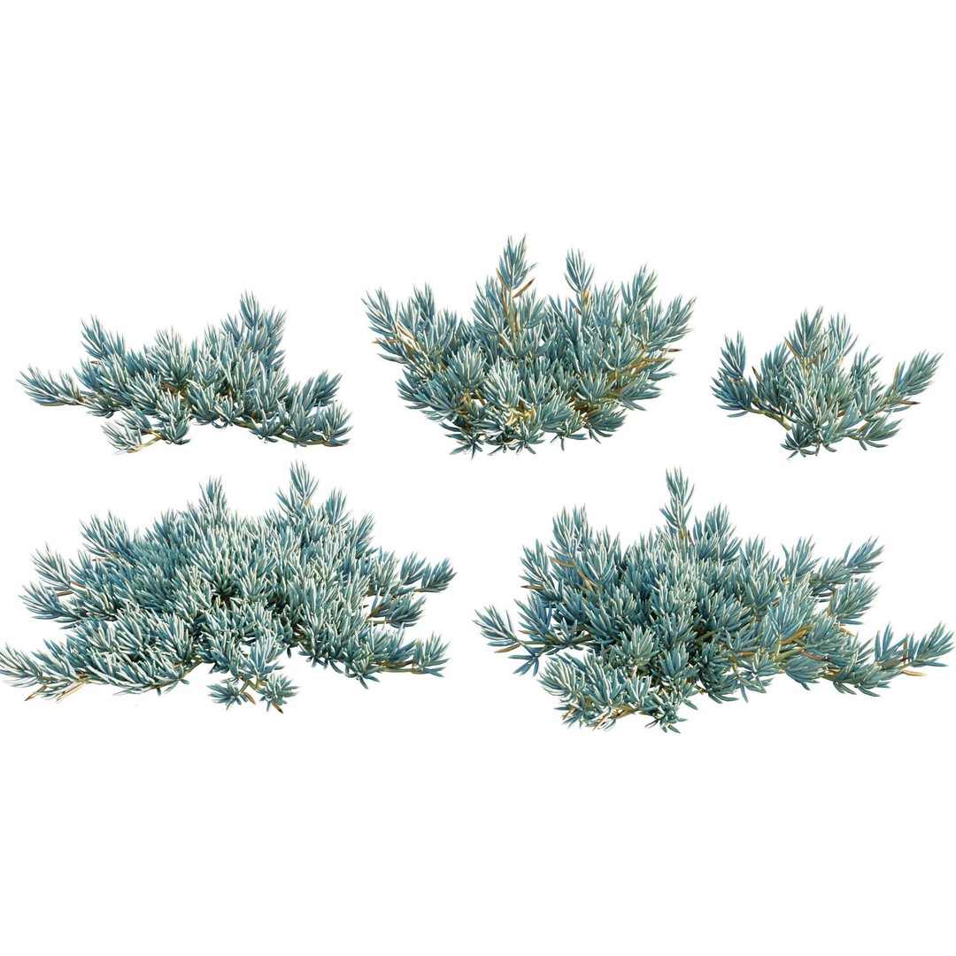 Desert Garden 3D Model – High Quality Plant Bundle, FBX