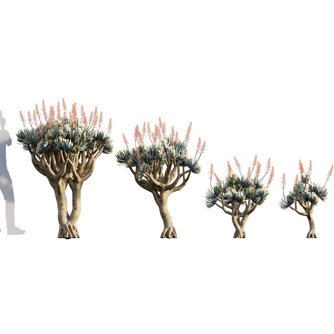 Desert Garden 3D Model – High Quality Plant Bundle, FBX - View 12