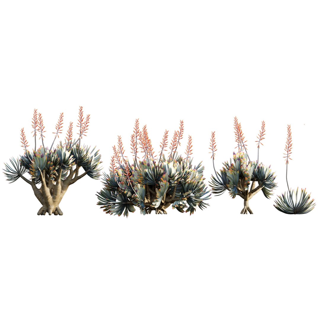 Desert Garden 3D Model – High Quality Plant Bundle, FBX - View 13