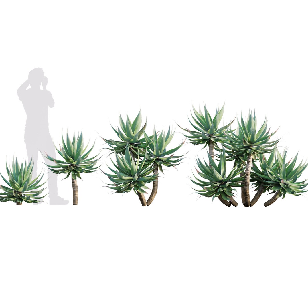 Desert Garden 3D Model – High Quality Plant Bundle, FBX - View 14