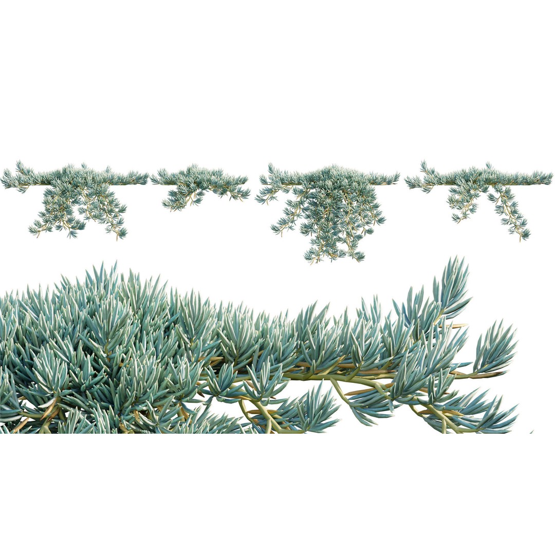 Desert Garden 3D Model – High Quality Plant Bundle, FBX - View 16