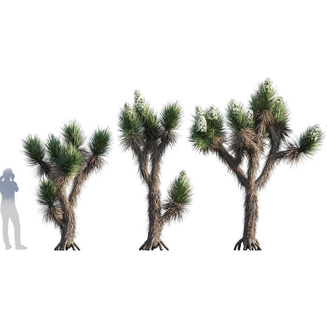 Desert Garden 3D Model – High Quality Plant Bundle, FBX - View 17