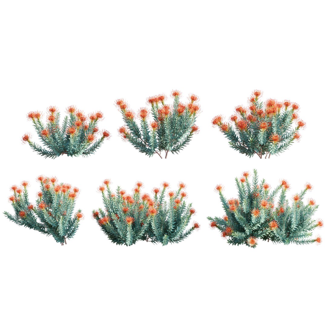 Desert Garden 3D Model – High Quality Plant Bundle, FBX - View 18