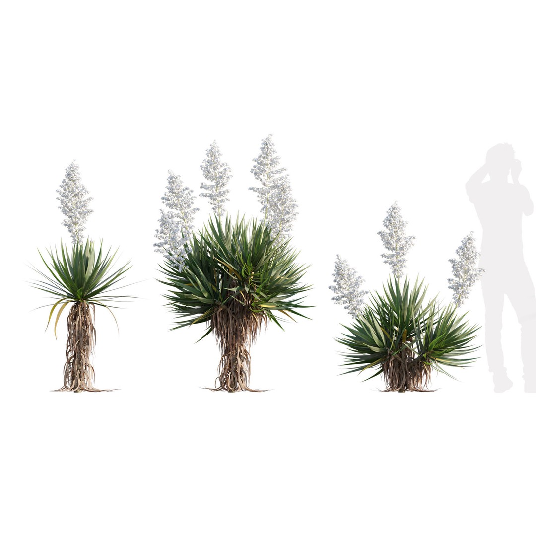 Desert Garden 3D Model – High Quality Plant Bundle, FBX - View 19