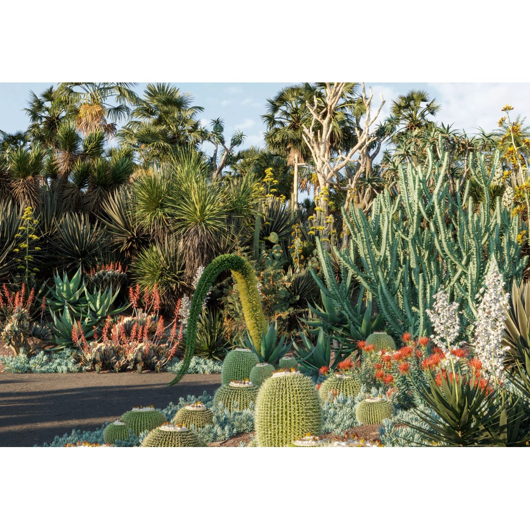 Desert Garden 3D Model – High Quality Plant Bundle, FBX - View 2