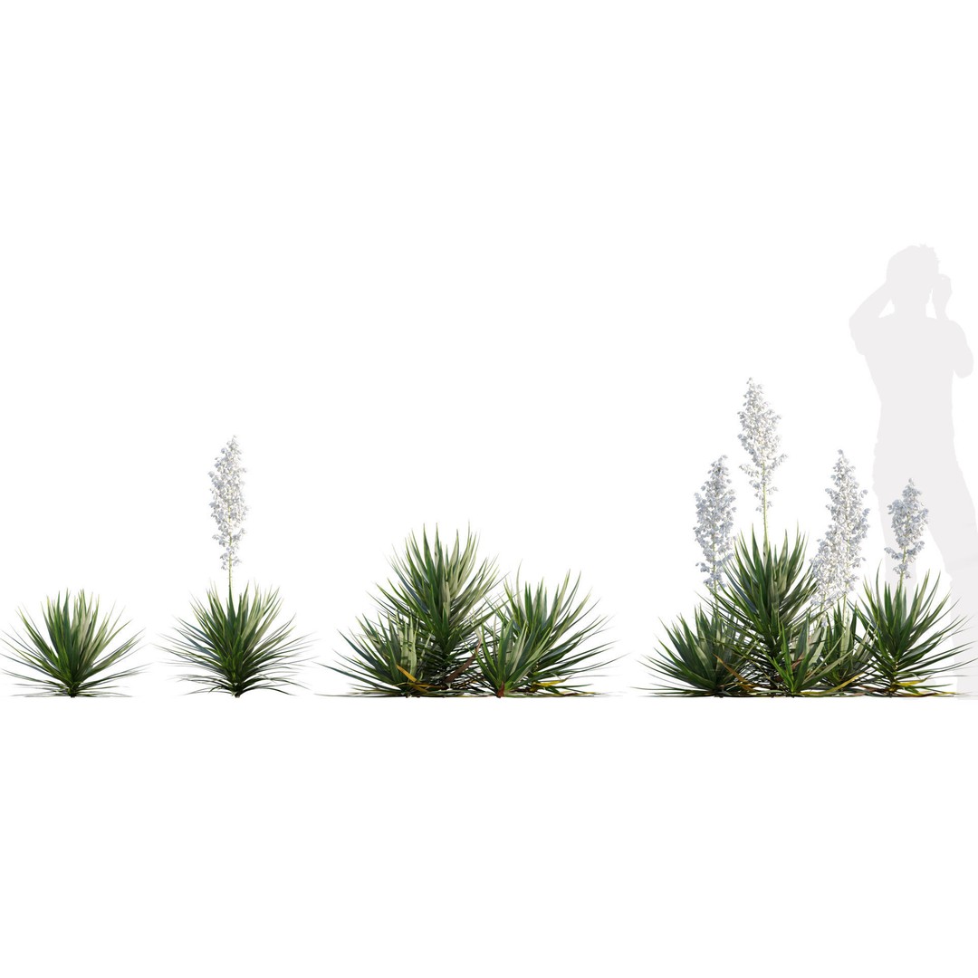 Desert Garden 3D Model – High Quality Plant Bundle, FBX - View 20