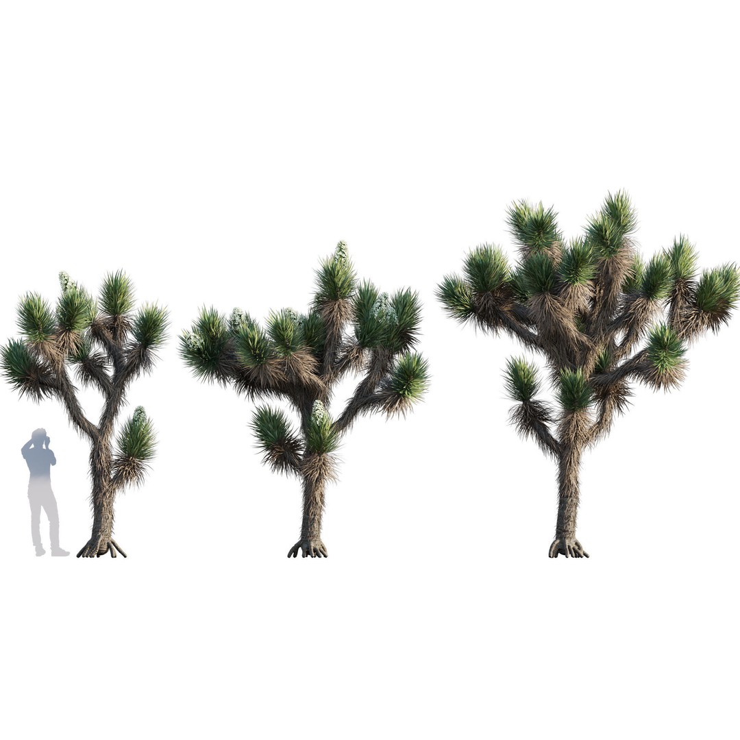 Desert Garden 3D Model – High Quality Plant Bundle, FBX - View 21