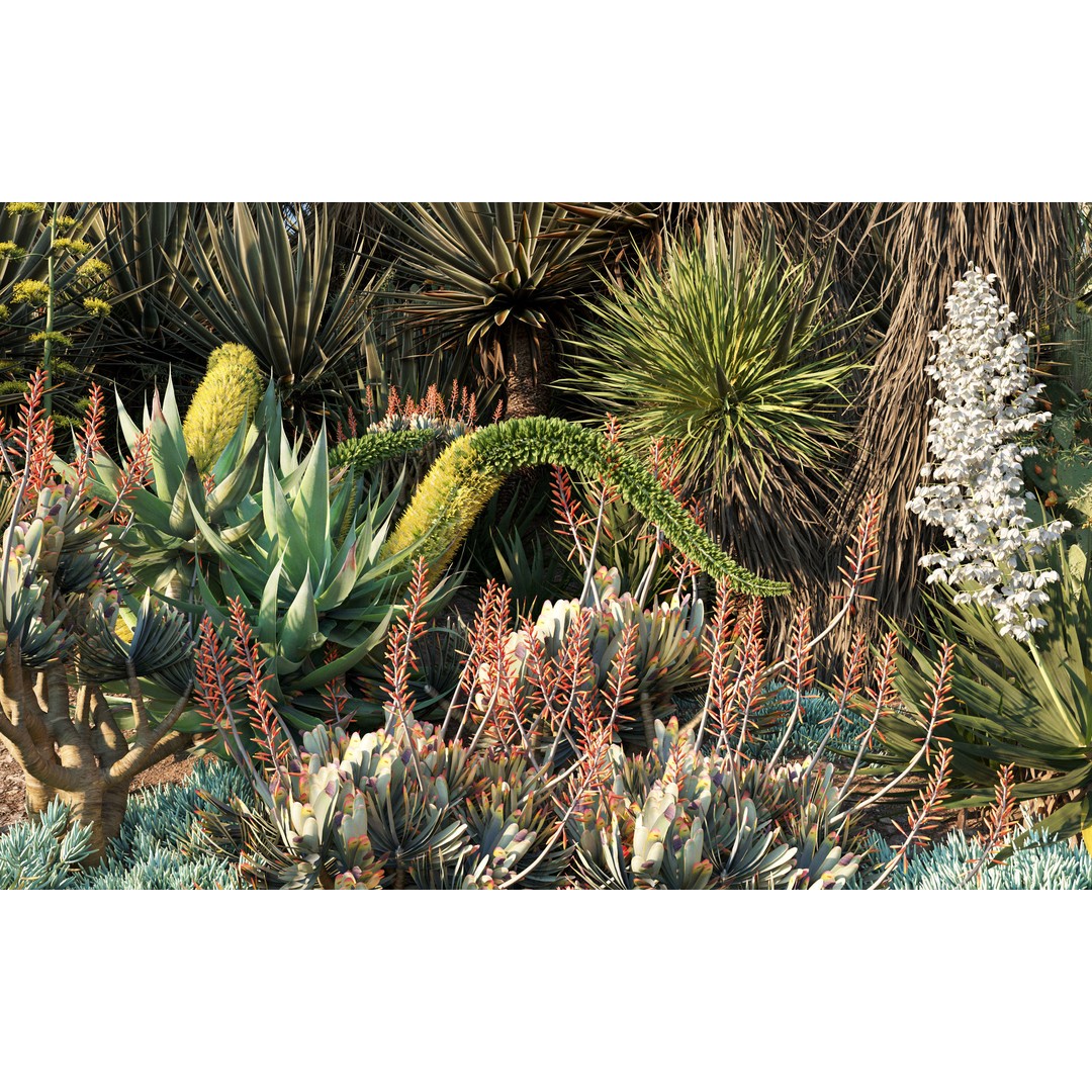 Desert Garden 3D Model – High Quality Plant Bundle, FBX - View 3