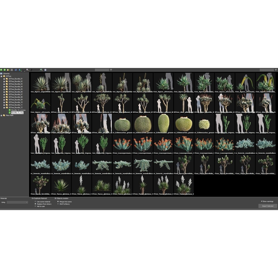 Desert Garden 3D Model – High Quality Plant Bundle, FBX - View 4