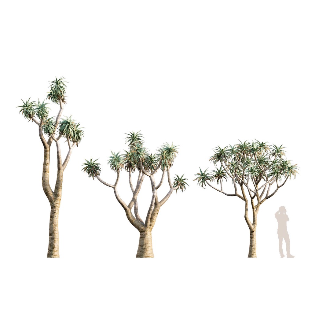 Desert Garden 3D Model – High Quality Plant Bundle, FBX - View 6
