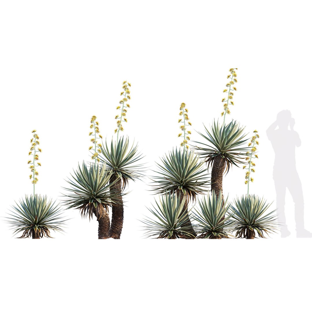 Desert Garden 3D Model – High Quality Plant Bundle, FBX - View 7