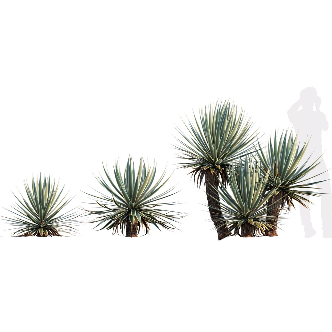 Desert Garden 3D Model – High Quality Plant Bundle, FBX - View 8
