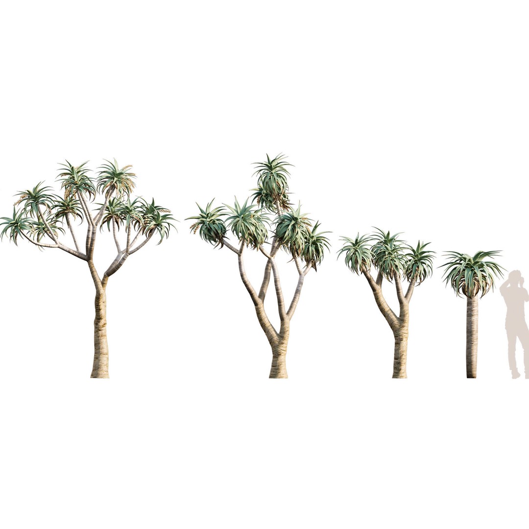 Desert Garden 3D Model – High Quality Plant Bundle, FBX - View 9
