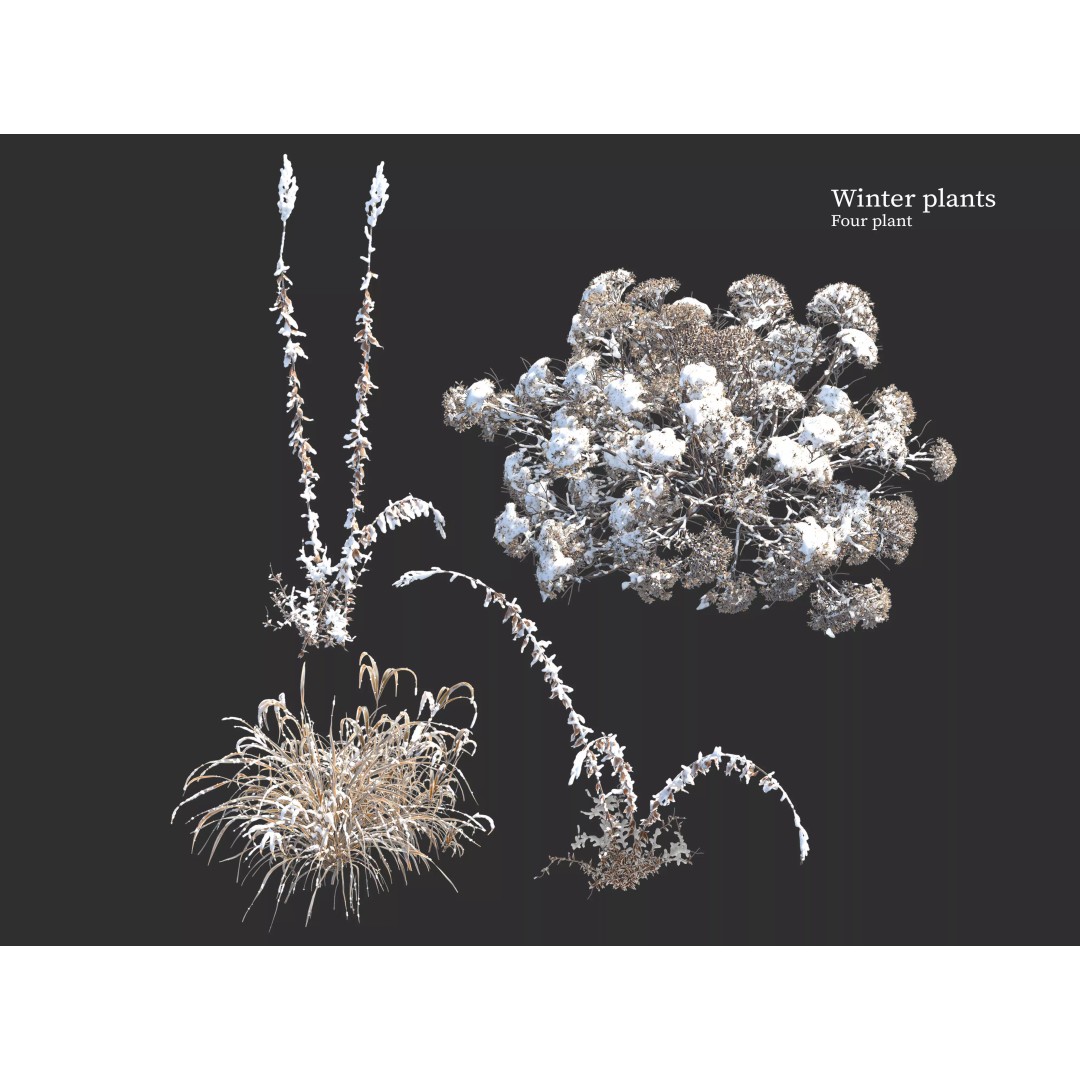 Winter Plants 3D Model – Detailed Polygon Mesh with Textures - View 2