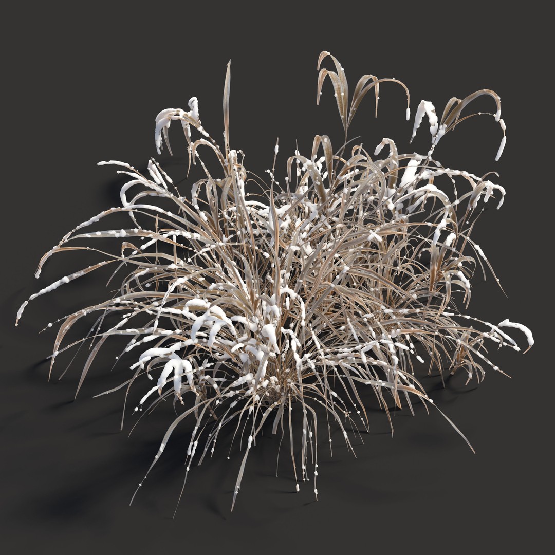 Winter Plants 3D Model – Detailed Polygon Mesh with Textures - View 3
