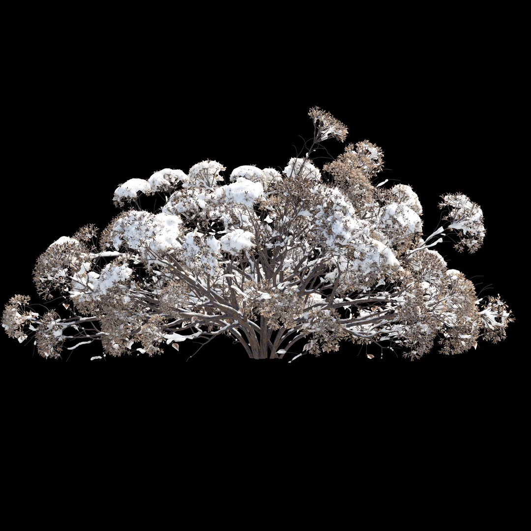 Winter Plants 3D Model – Detailed Polygon Mesh with Textures - View 6