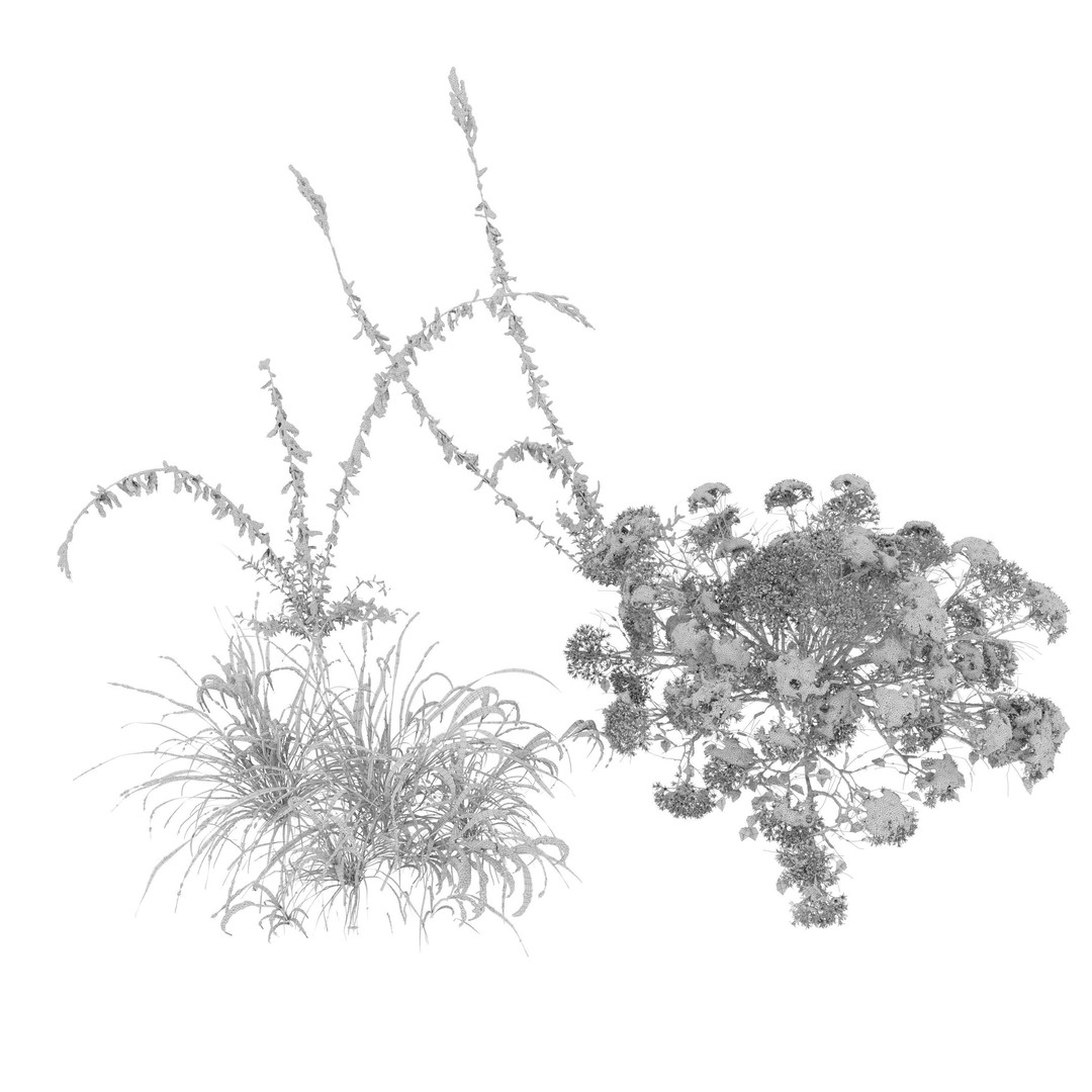 Winter Plants 3D Model – Detailed Polygon Mesh with Textures - View 7