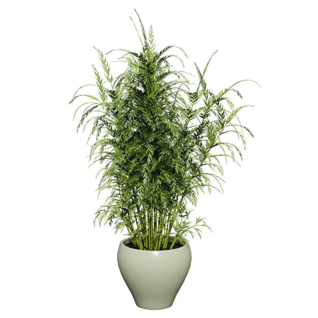 Vegetable Plant 3D Model – Low Poly Game Ready Asset, FBX, PBR