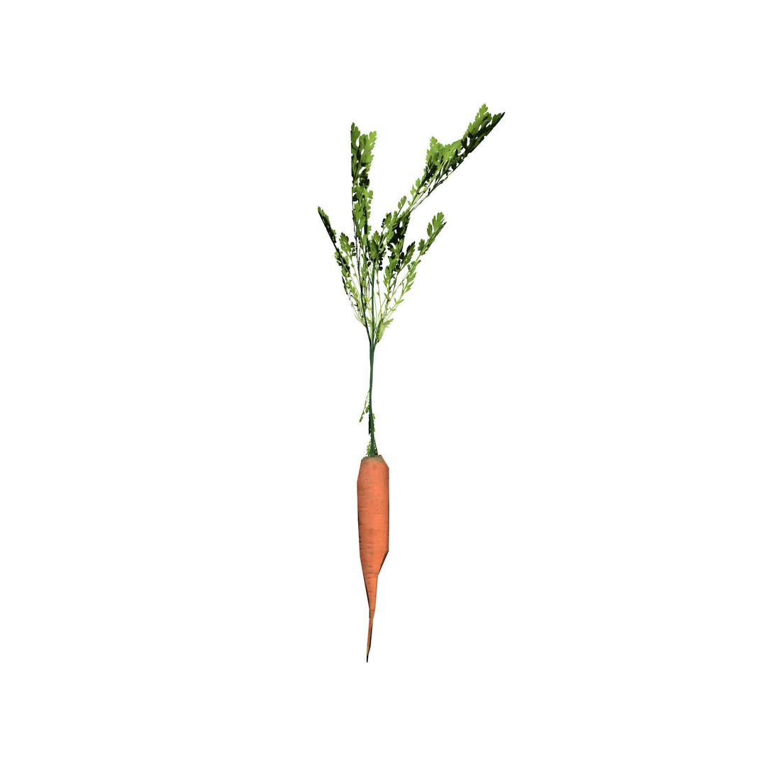 Vegetable Plant 3D Model – Low Poly Game Ready Asset, FBX, PBR - View 10