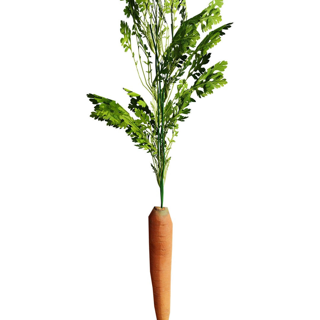 Vegetable Plant 3D Model – Low Poly Game Ready Asset, FBX, PBR - View 11