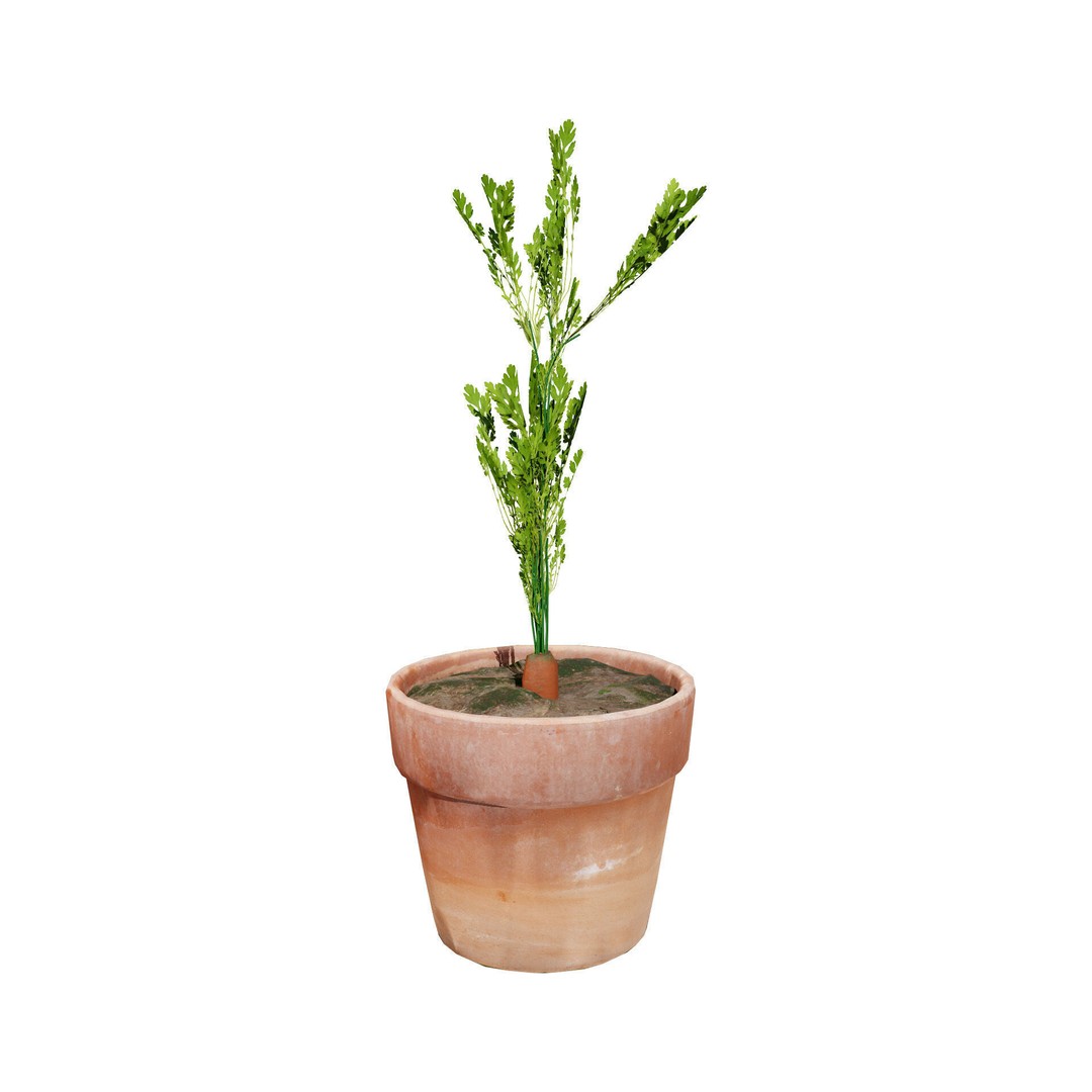 Vegetable Plant 3D Model – Low Poly Game Ready Asset, FBX, PBR - View 12