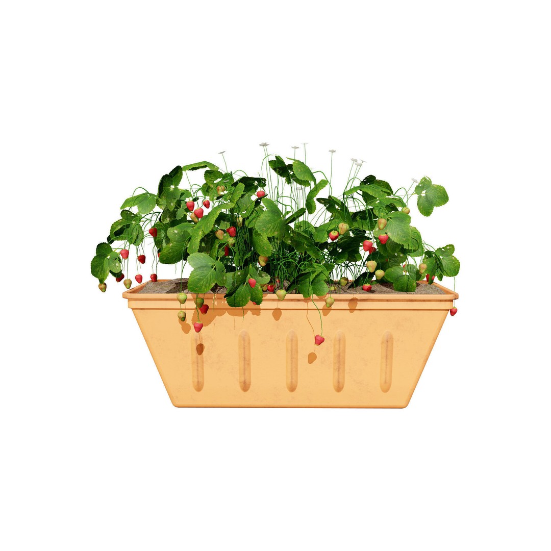 Vegetable Plant 3D Model – Low Poly Game Ready Asset, FBX, PBR - View 14
