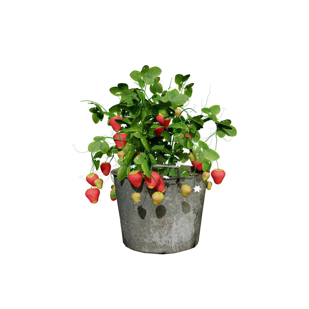 Vegetable Plant 3D Model – Low Poly Game Ready Asset, FBX, PBR - View 15