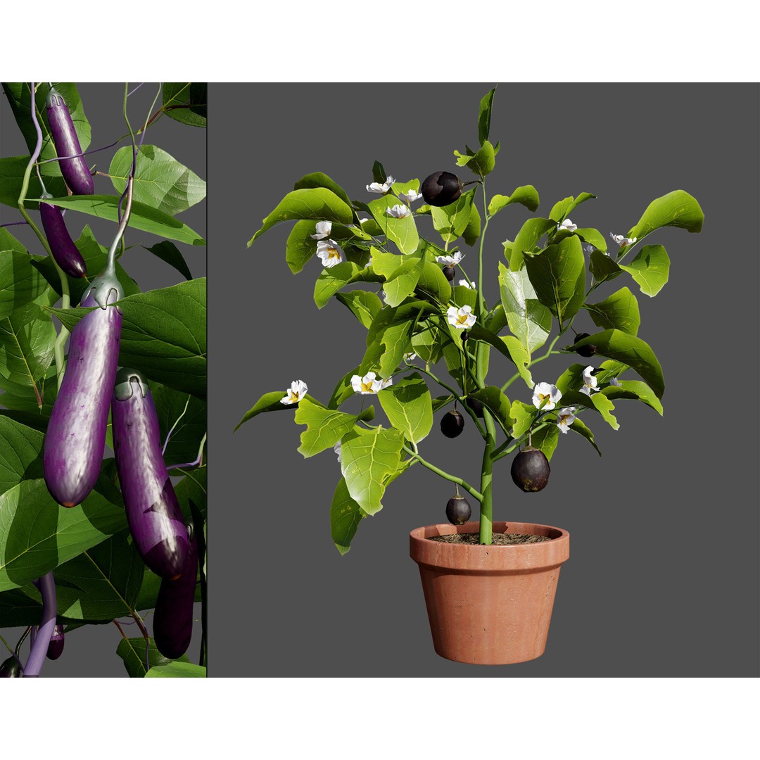 Vegetable Plant 3D Model – Low Poly Game Ready Asset, FBX, PBR - View 22