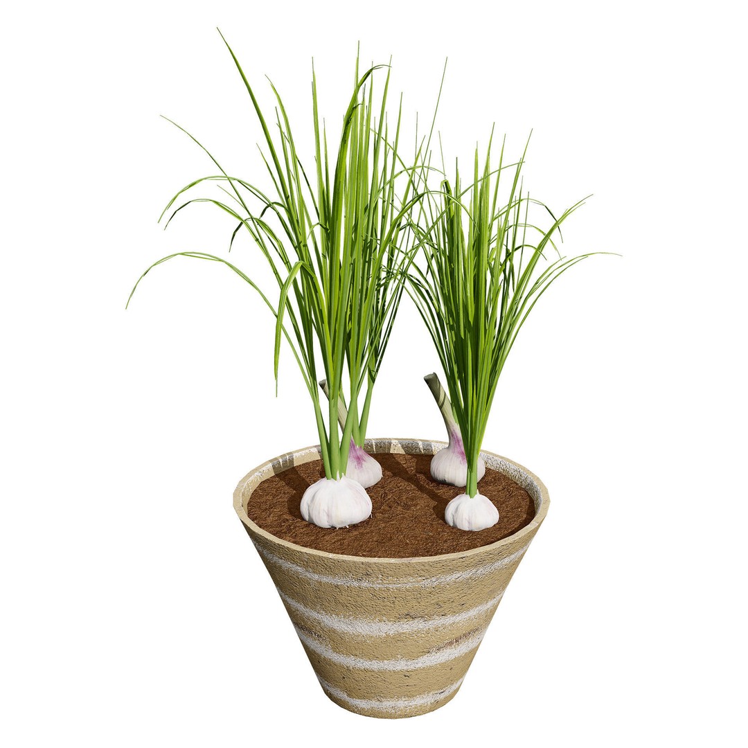 Vegetable Plant 3D Model – Low Poly Game Ready Asset, FBX, PBR - View 26