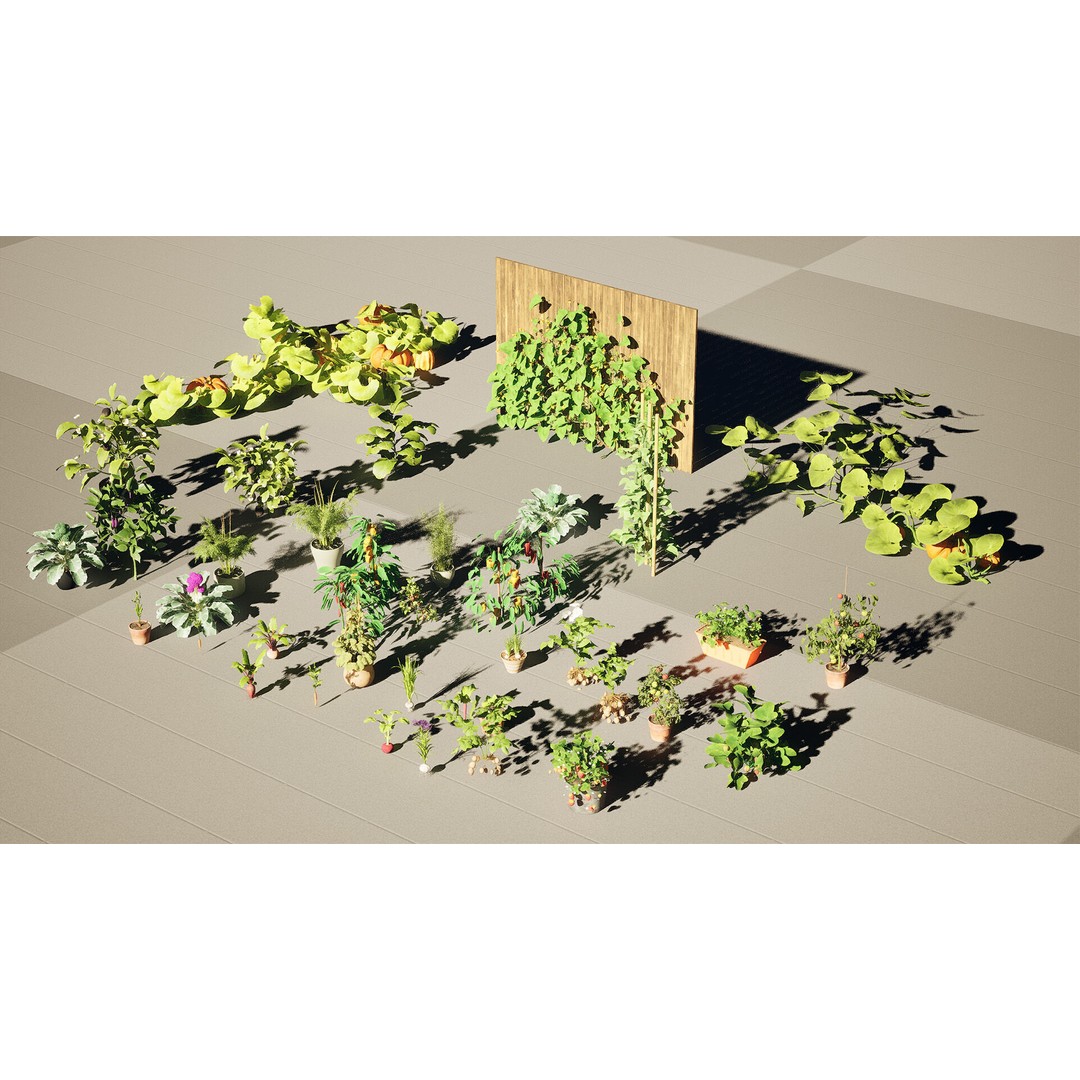 Vegetable Plant 3D Model – Low Poly Game Ready Asset, FBX, PBR - View 27