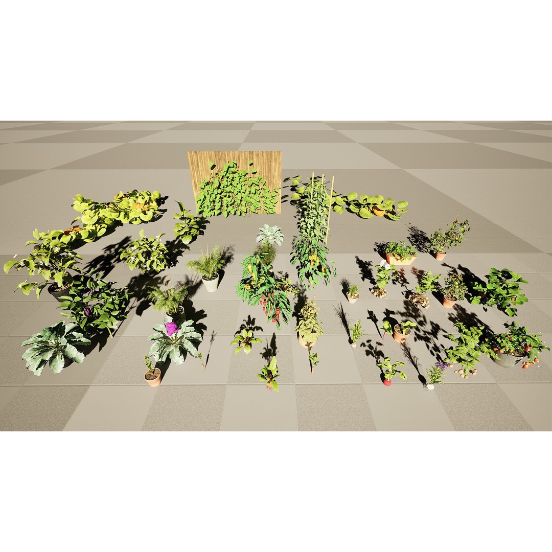 Vegetable Plant 3D Model – Low Poly Game Ready Asset, FBX, PBR - View 29