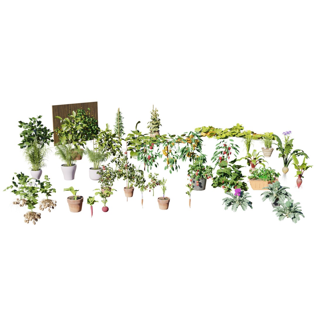Vegetable Plant 3D Model – Low Poly Game Ready Asset, FBX, PBR - View 3
