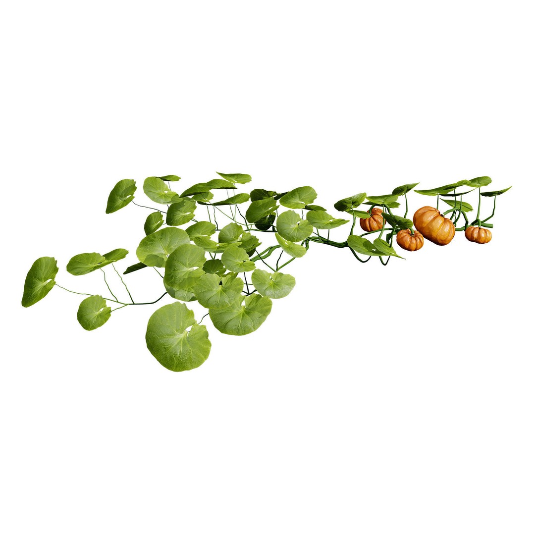 Vegetable Plant 3D Model – Low Poly Game Ready Asset, FBX, PBR - View 35