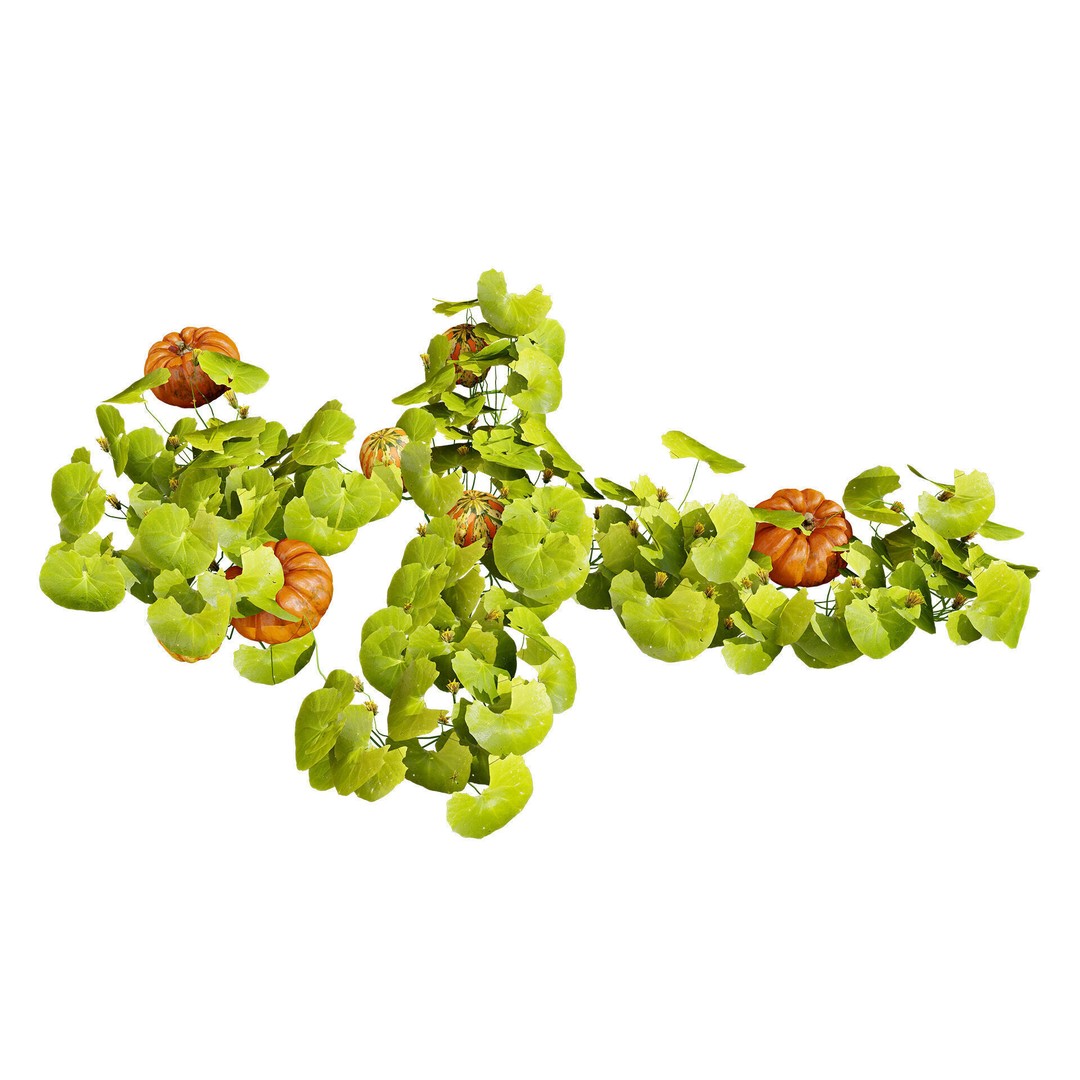Vegetable Plant 3D Model – Low Poly Game Ready Asset, FBX, PBR - View 36