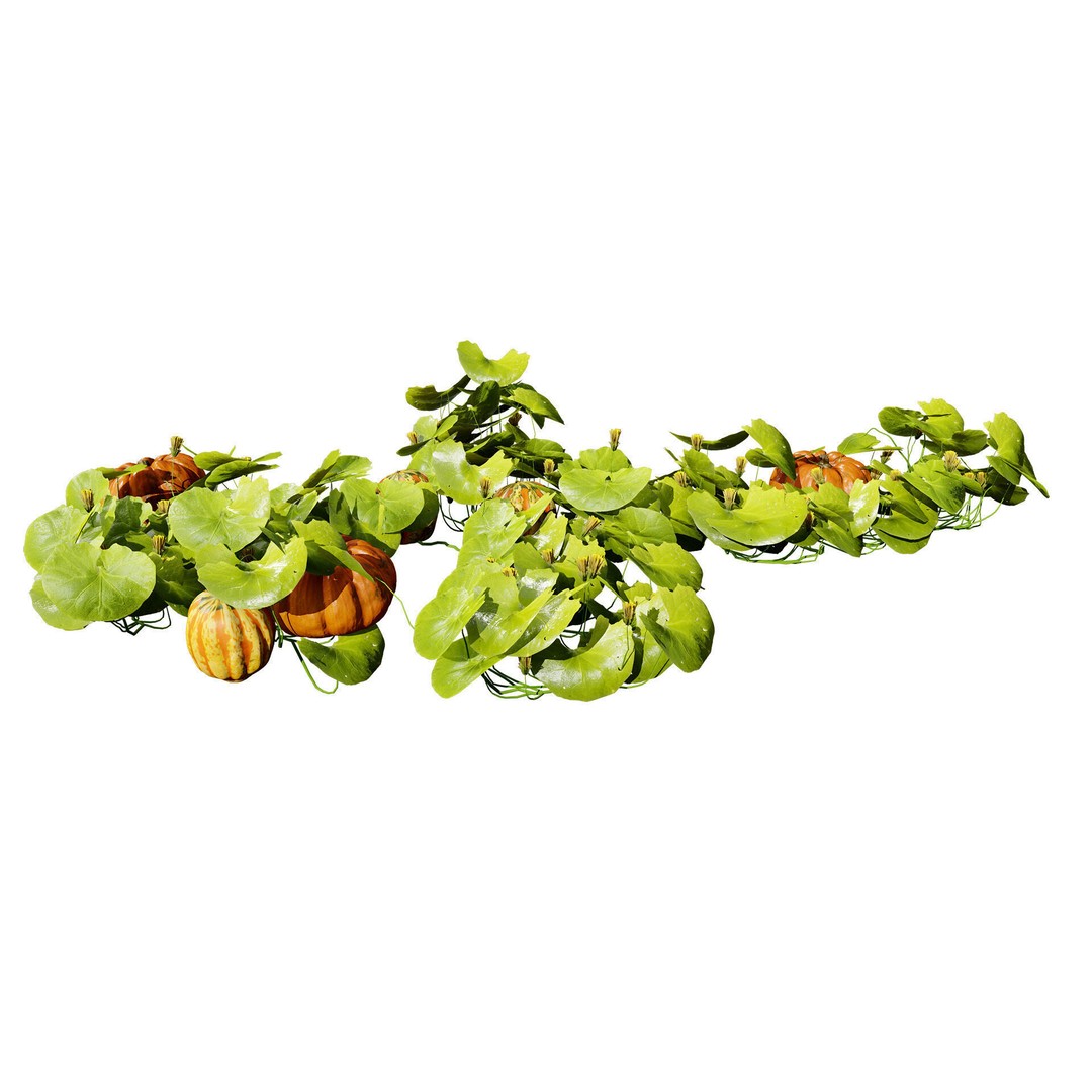 Vegetable Plant 3D Model – Low Poly Game Ready Asset, FBX, PBR - View 37