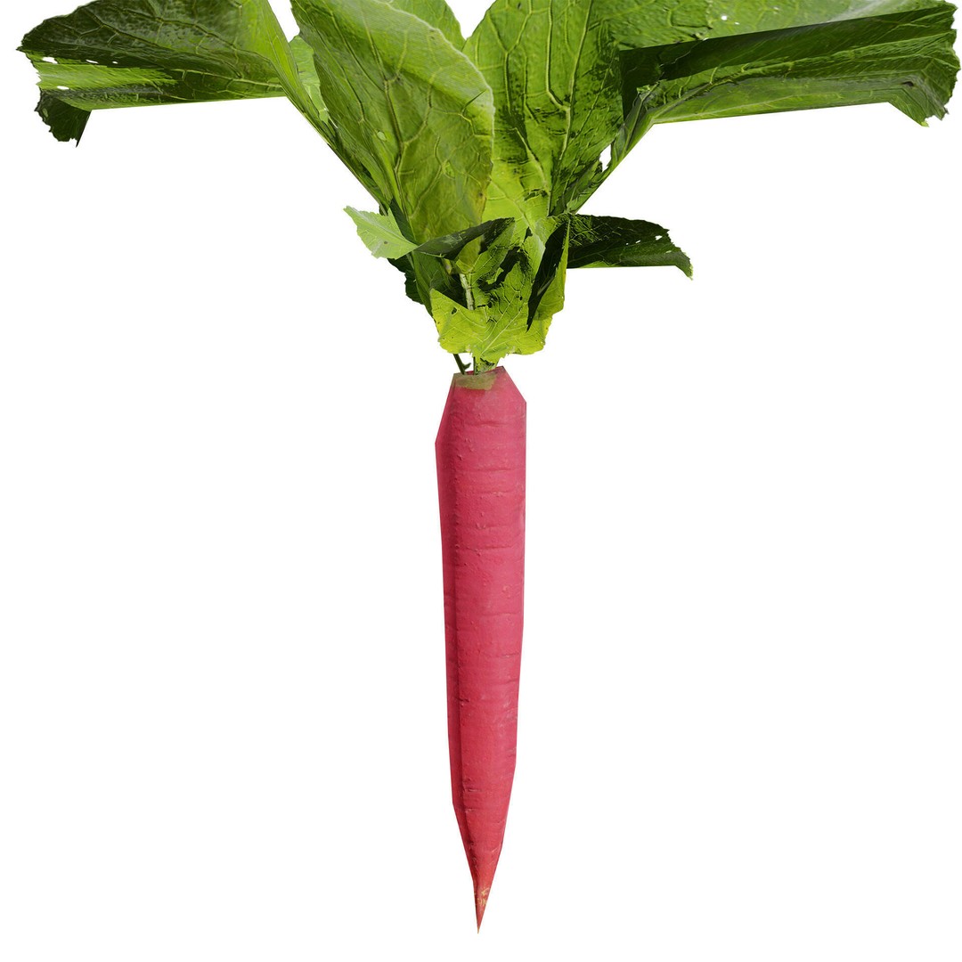 Vegetable Plant 3D Model – Low Poly Game Ready Asset, FBX, PBR - View 40