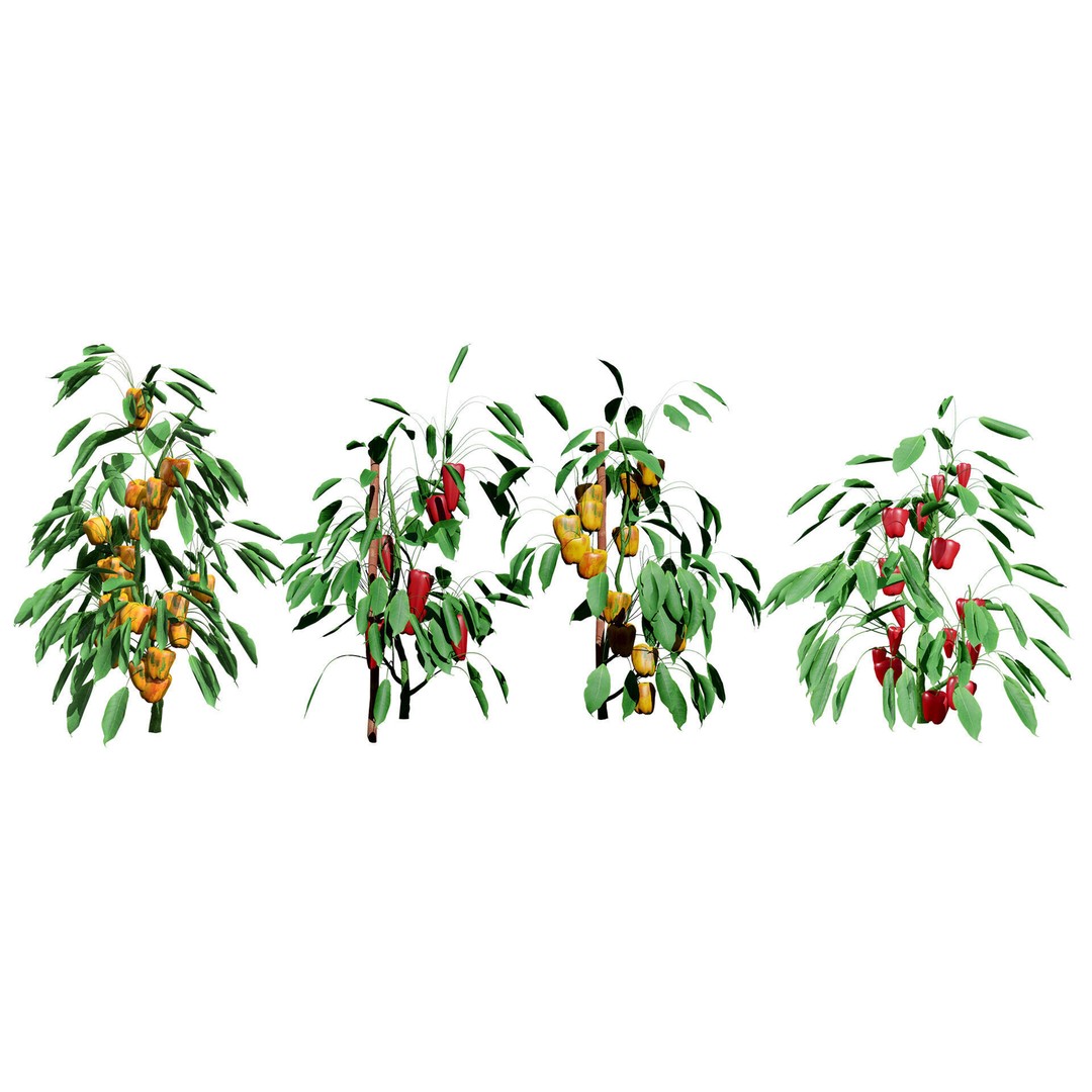 Vegetable Plant 3D Model – Low Poly Game Ready Asset, FBX, PBR - View 41