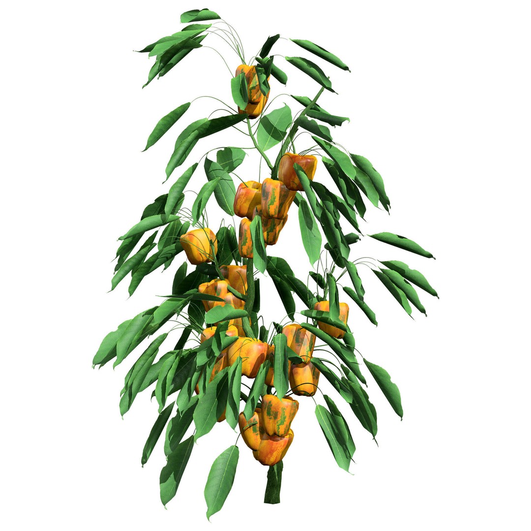 Vegetable Plant 3D Model – Low Poly Game Ready Asset, FBX, PBR - View 42