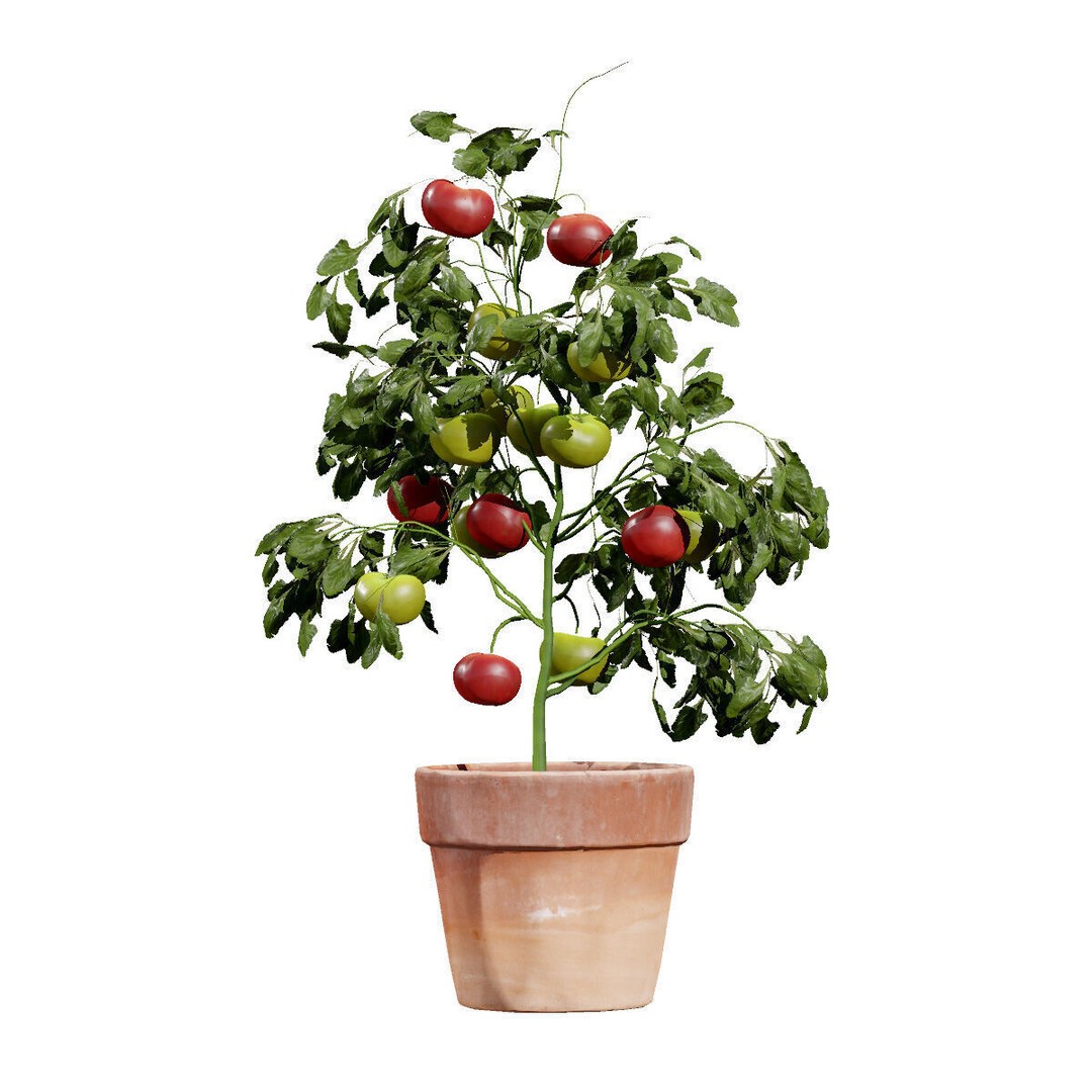 Vegetable Plant 3D Model – Low Poly Game Ready Asset, FBX, PBR - View 43