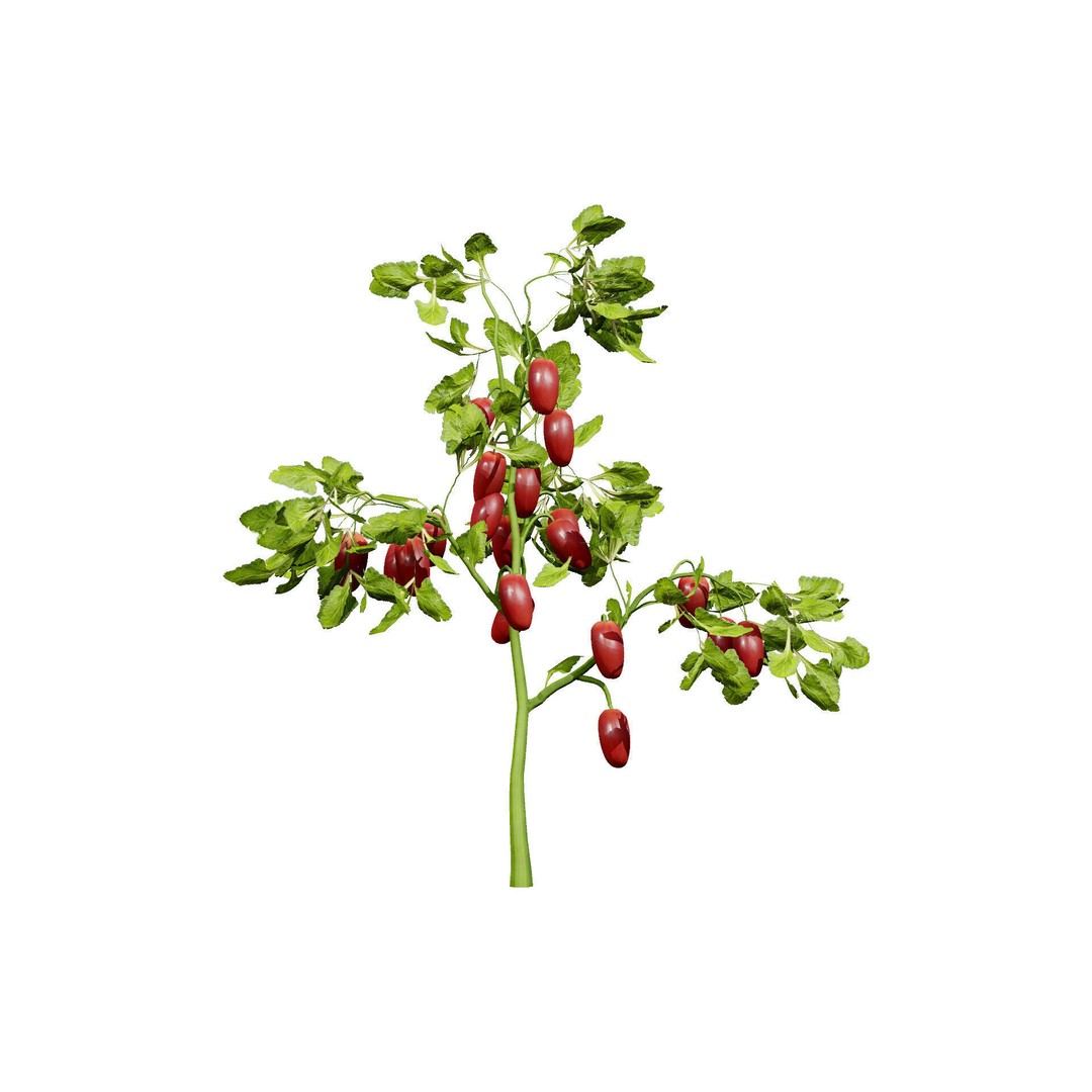Vegetable Plant 3D Model – Low Poly Game Ready Asset, FBX, PBR - View 45