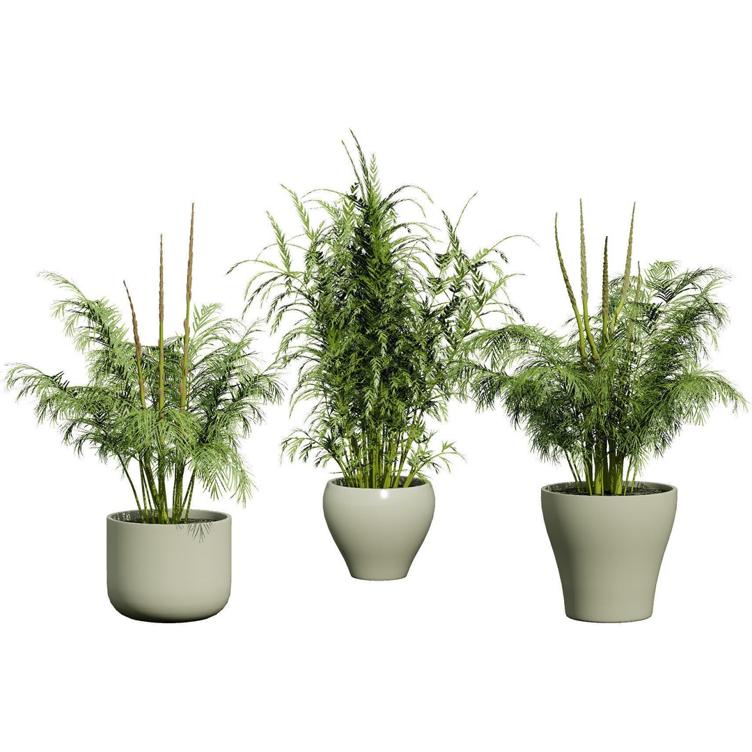 Vegetable Plant 3D Model – Low Poly Game Ready Asset, FBX, PBR - View 47