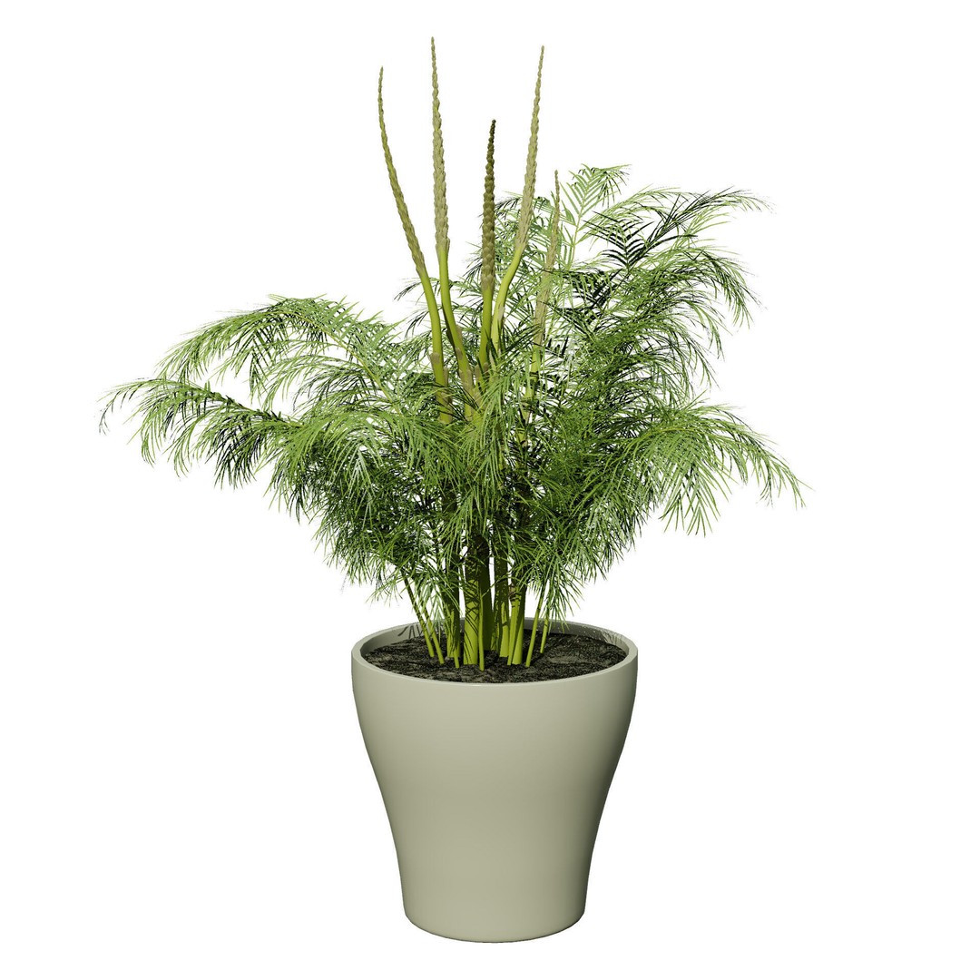 Vegetable Plant 3D Model – Low Poly Game Ready Asset, FBX, PBR - View 48