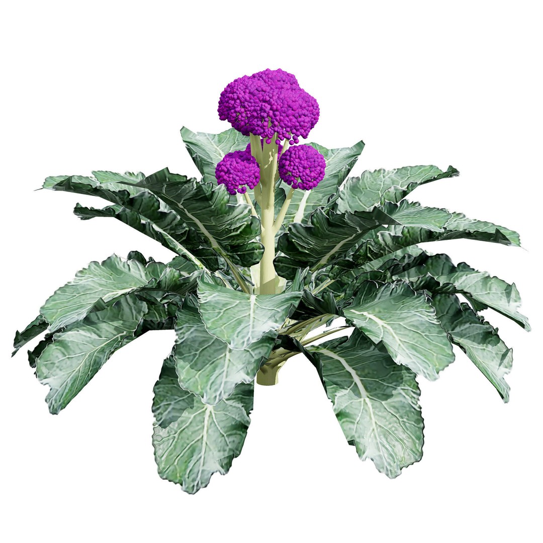 Vegetable Plant 3D Model – Low Poly Game Ready Asset, FBX, PBR - View 6