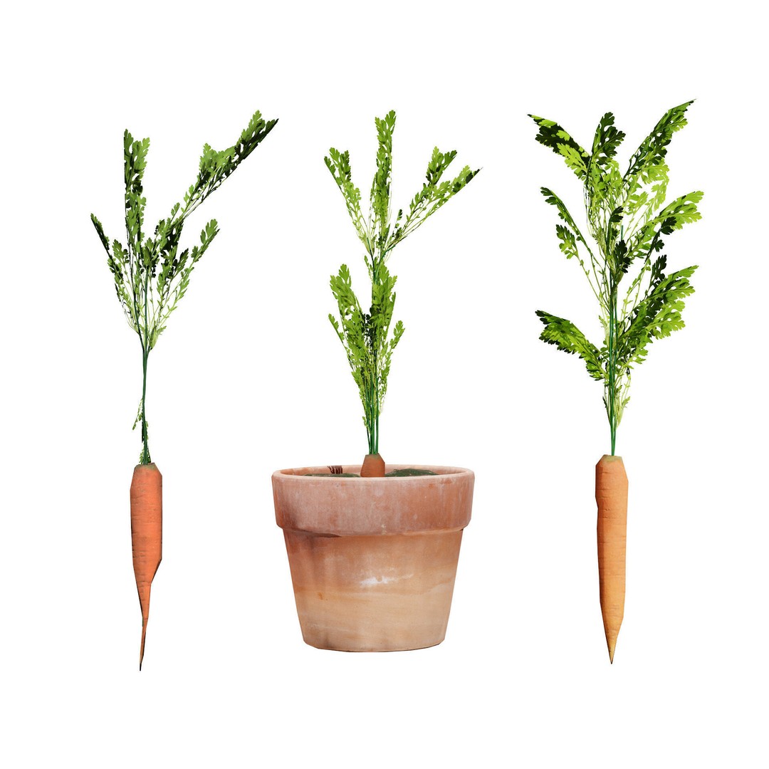 Vegetable Plant 3D Model – Low Poly Game Ready Asset, FBX, PBR - View 8